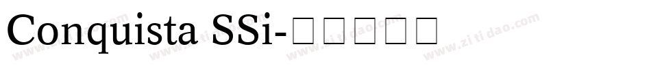 Conquista SSi字体转换